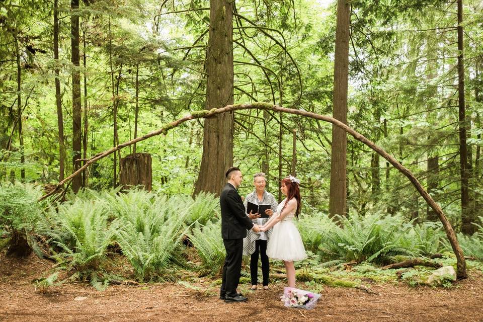 Ferns and forest elopement