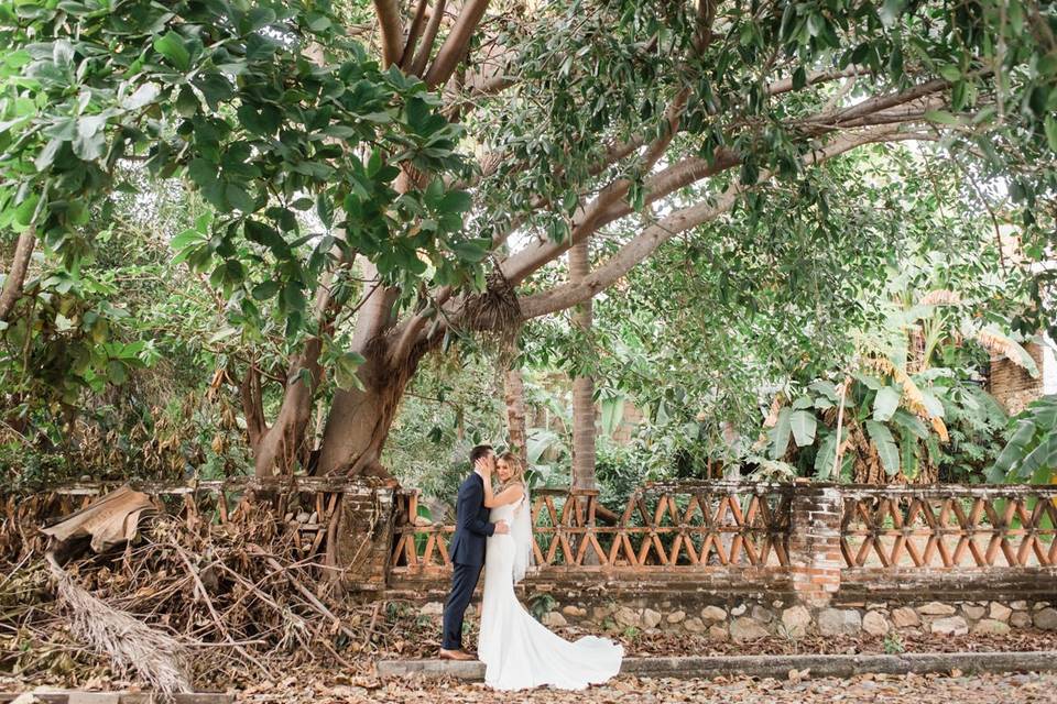 Tropical tree wedding couple
