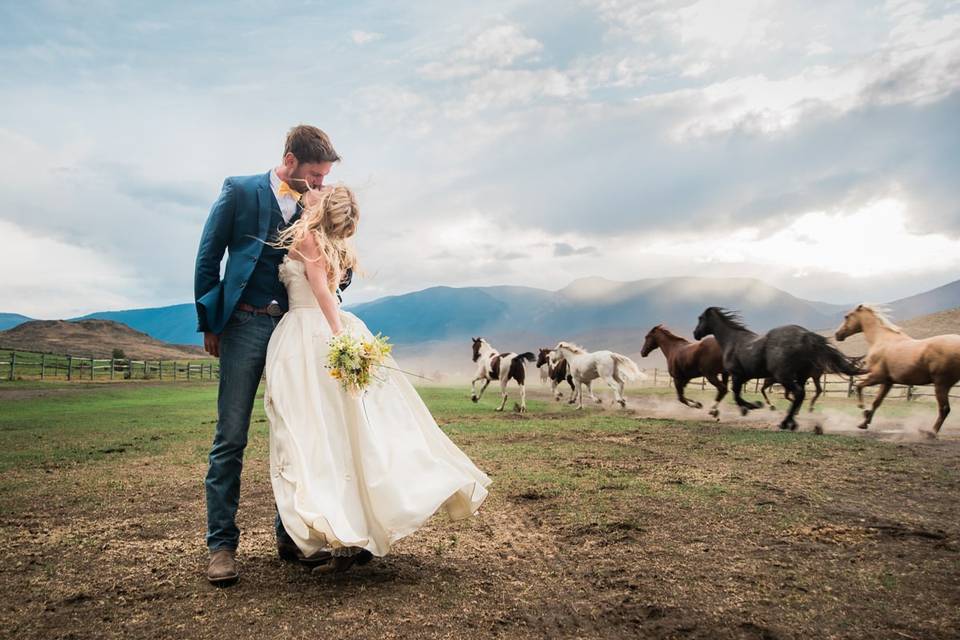 Sunset Squamish wedding