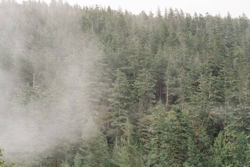 Foggy pnw forest wedding