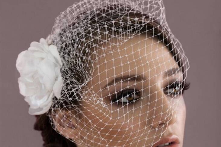 Bird cage fascinator