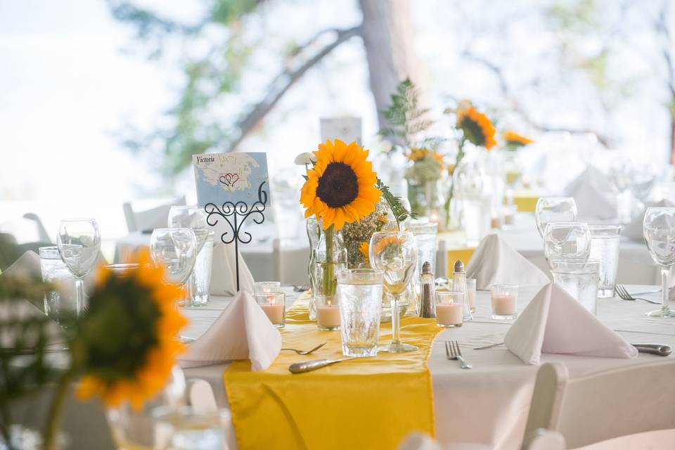 Coastal Weddings and Events