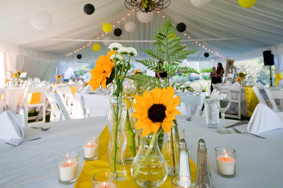 Coastal Weddings and Events