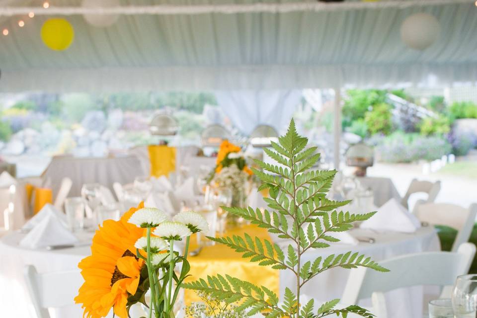 Coastal Weddings and Events