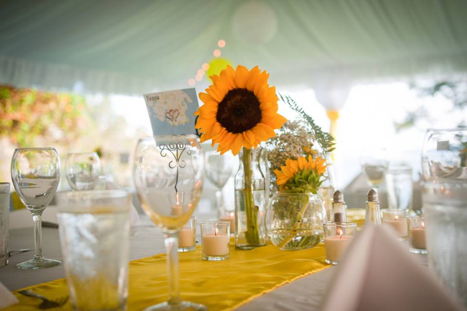 Coastal Weddings and Events