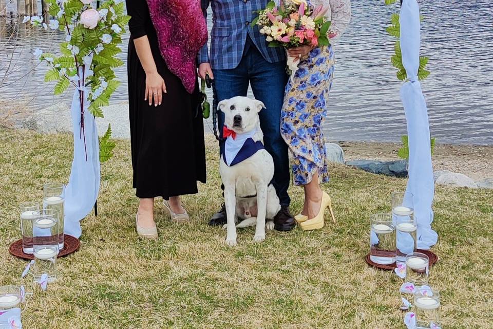 Beach Elopements & Best Paws