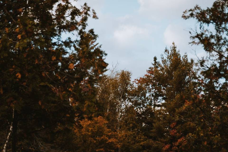 Algonquin Elopement