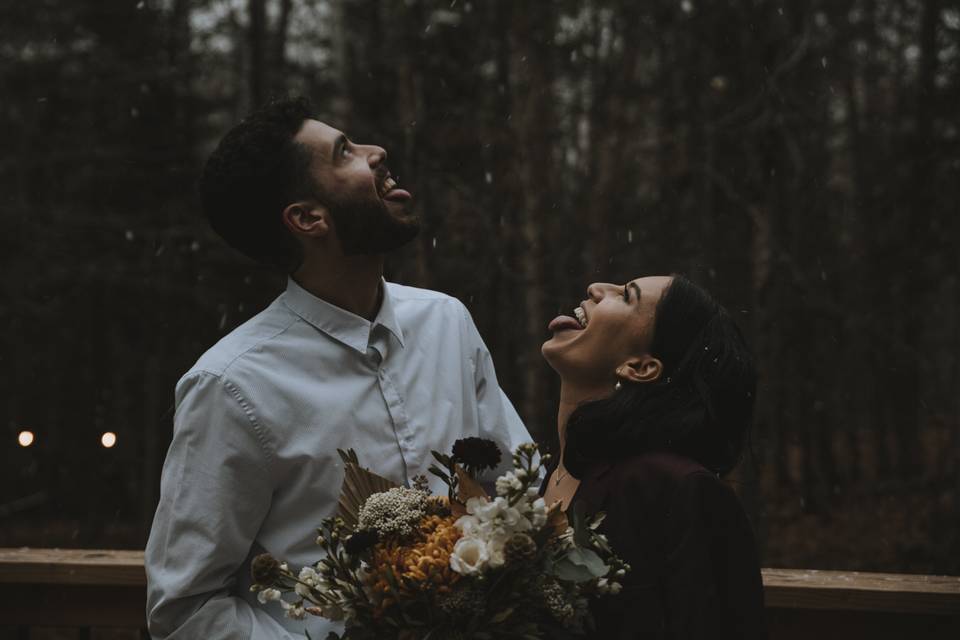 Cabin Elopement