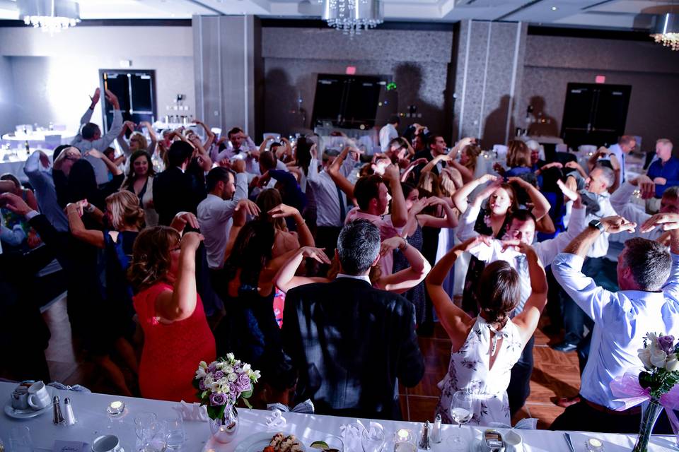 Dynamic Weddings DJ Service