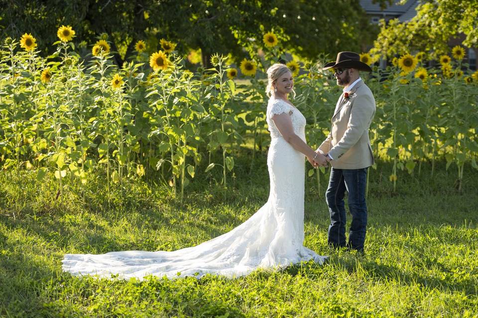 Sunflowers make a great canvas