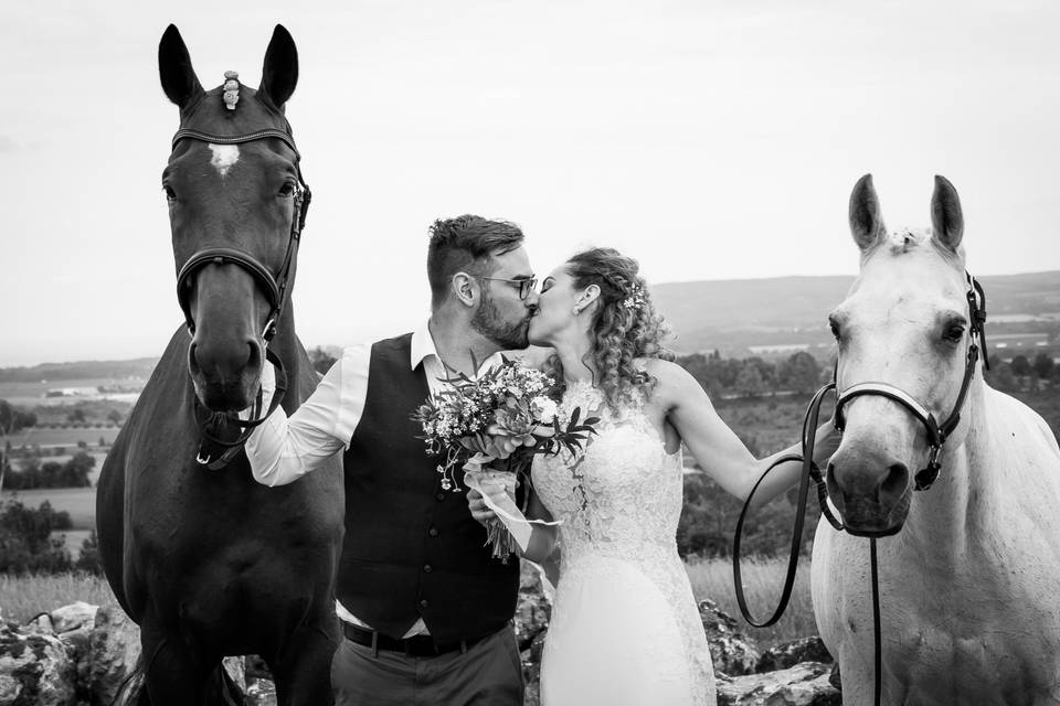 Brides Wish ...Horses