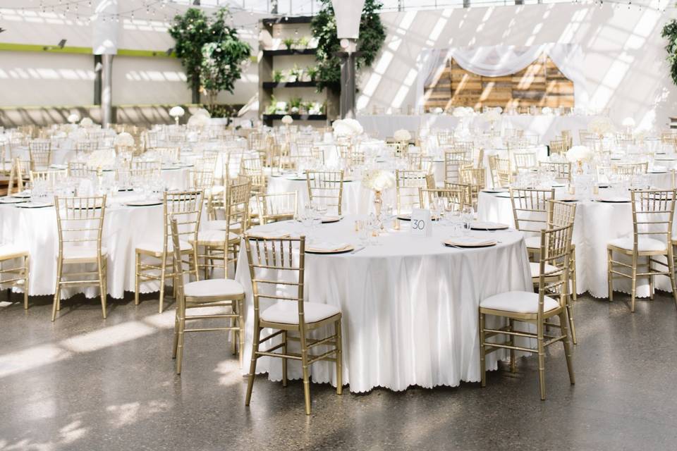 Moonflower Reception