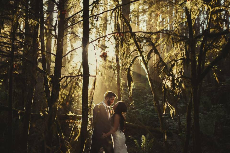 Forest Wedding