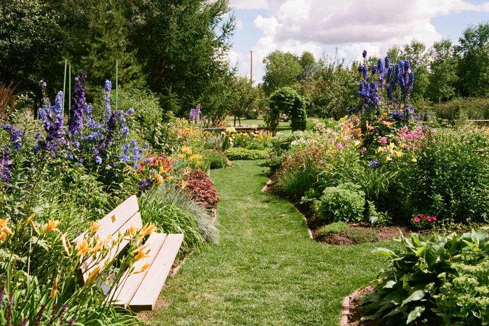 Cottage Garden