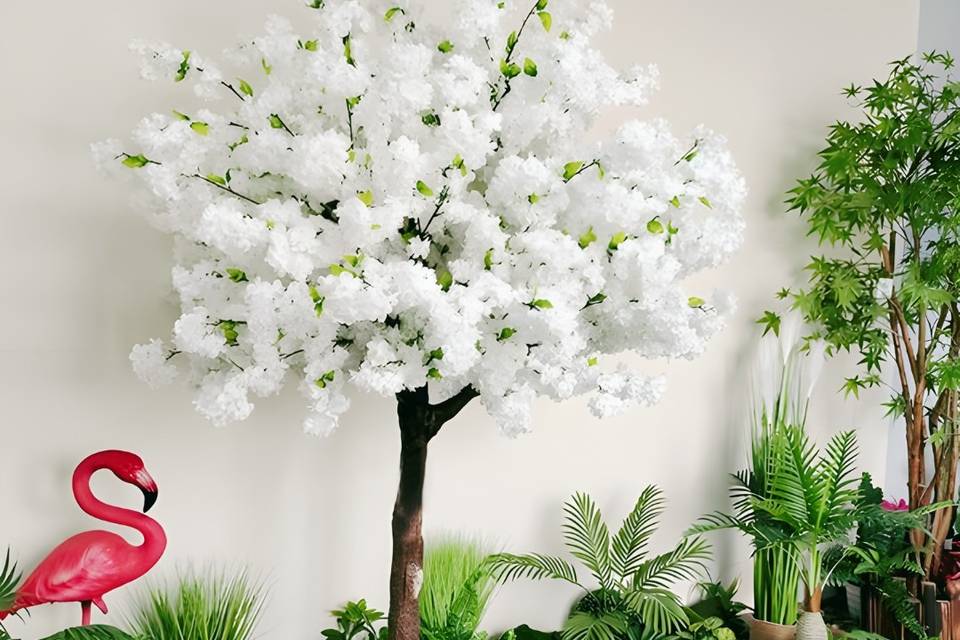 White cherry blossom trees