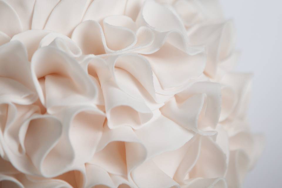 Close up ruffles