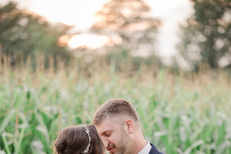 Timeless Tree Weddings