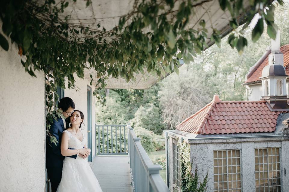 Timeless Tree Weddings