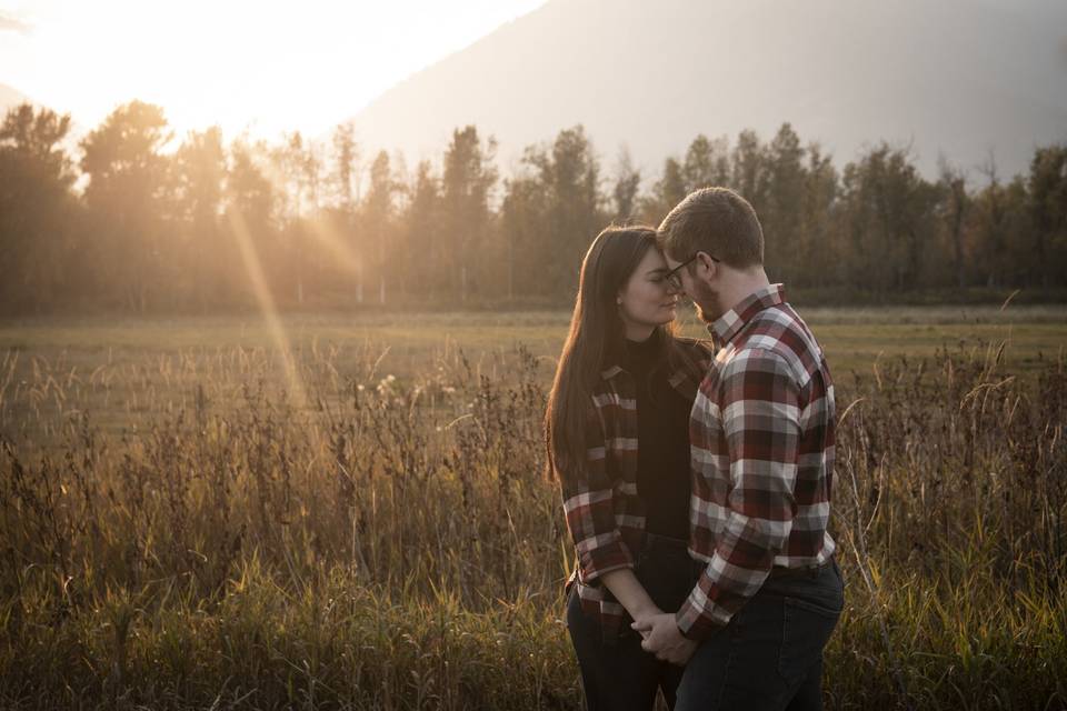Under The Sunset