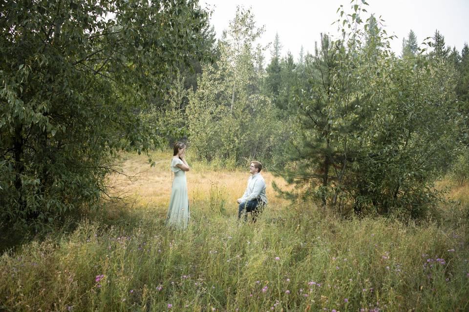 Proposal in the Woods