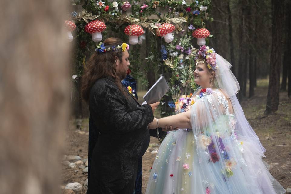 Married under Mushrooms