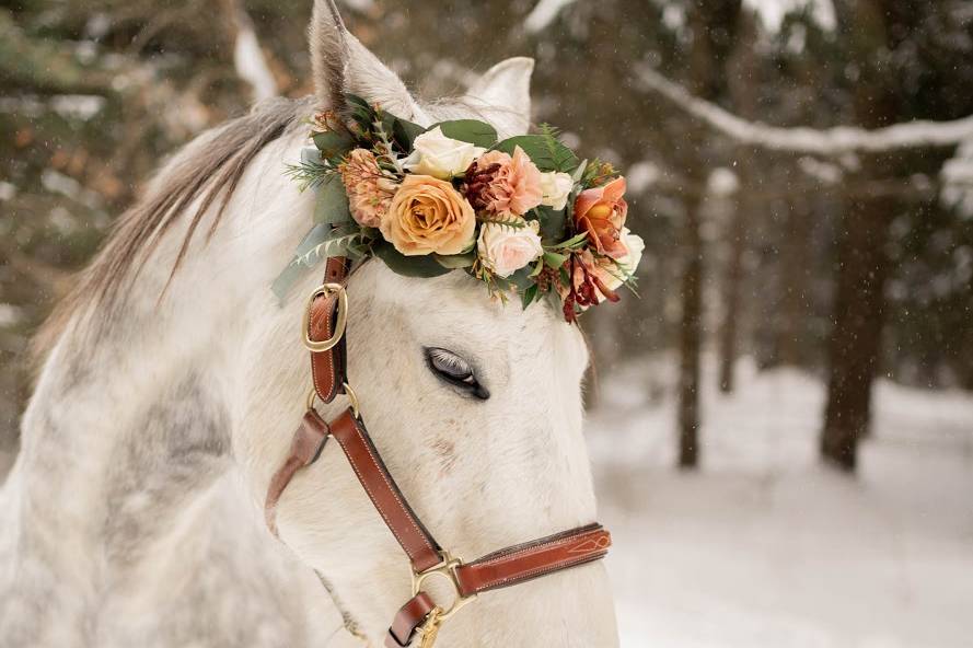 Horse flower crown