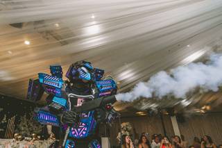 Robot Circus