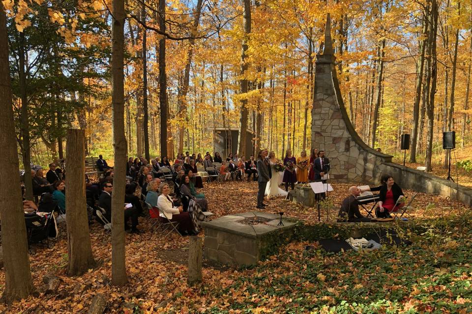 Autumn wedding in the park