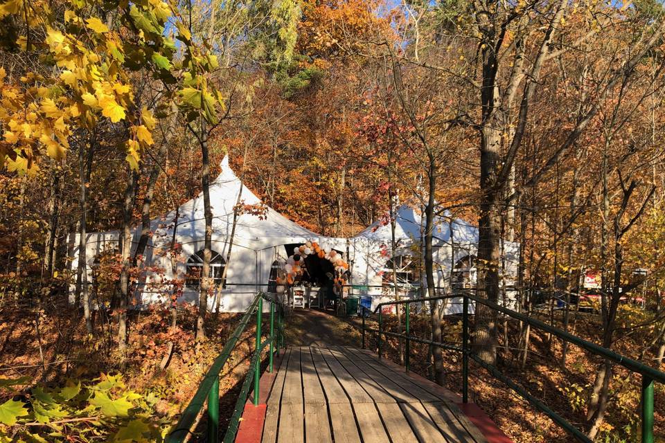 Autumn wedding in the park