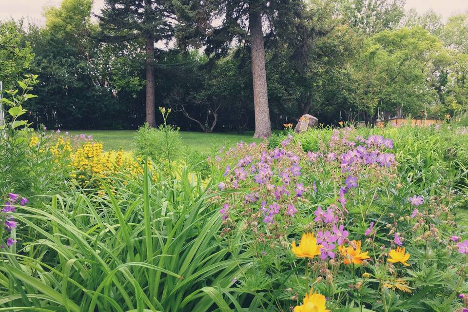 Delphinium & Day Lily