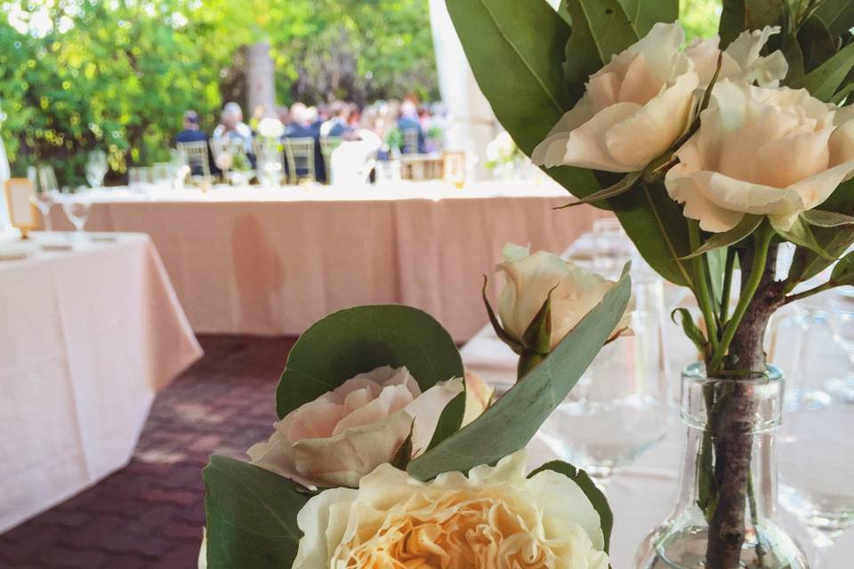 Patio  Seating & Ceremony