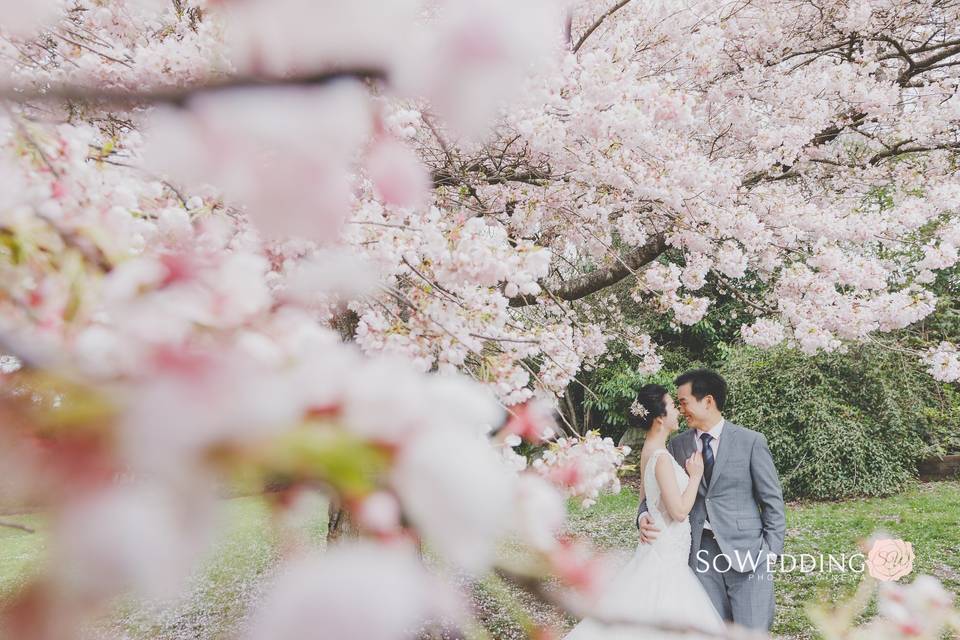 Vancouver Wedding Photography