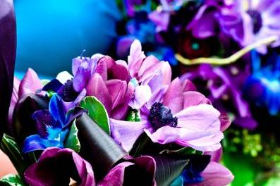 Tulips and anemone