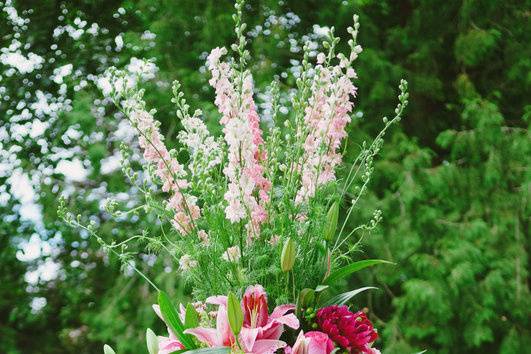 Fuchsia, pink, lime, burgundy