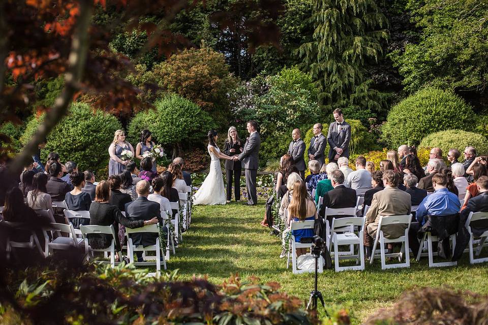 Pond backdrop - ceremony