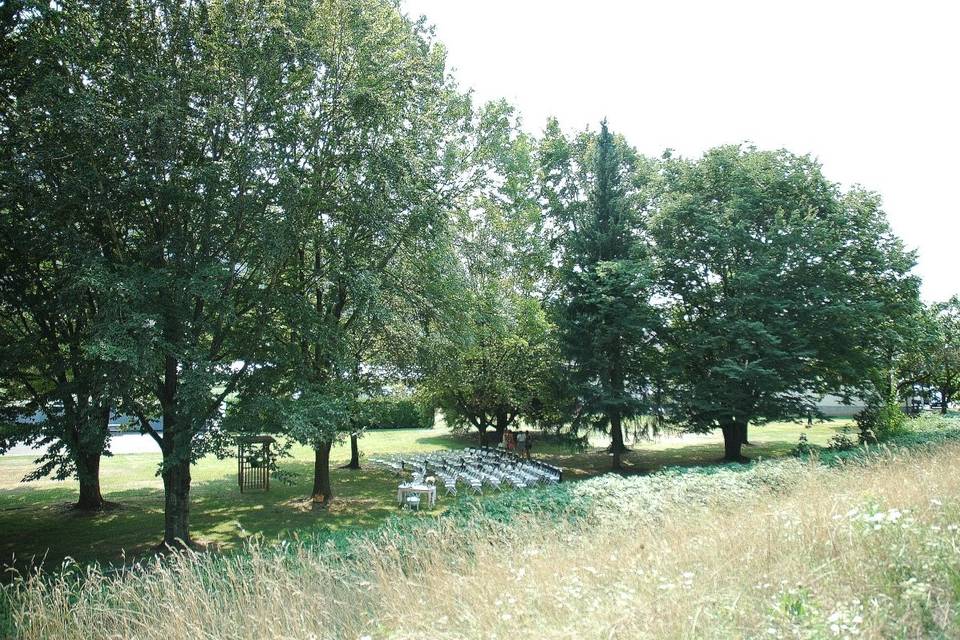 Ceremony setup among the trees