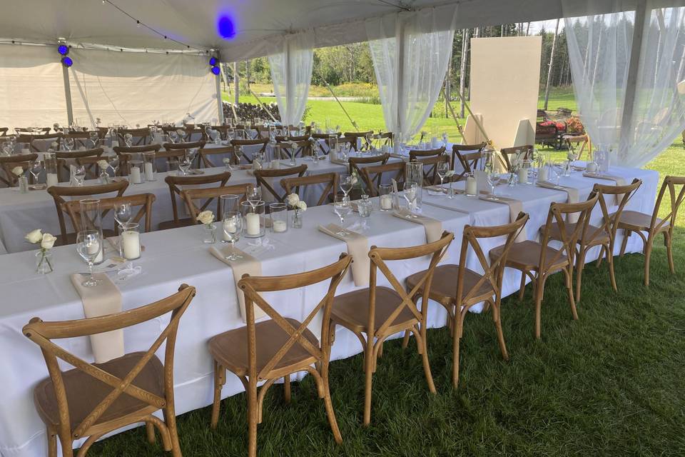 Backyard Wedding