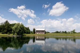 The Hummingbird Barn Erin