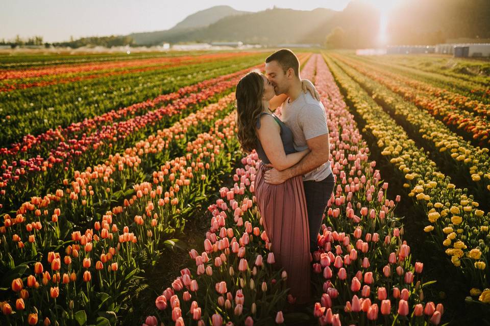 Tulips, engagement,