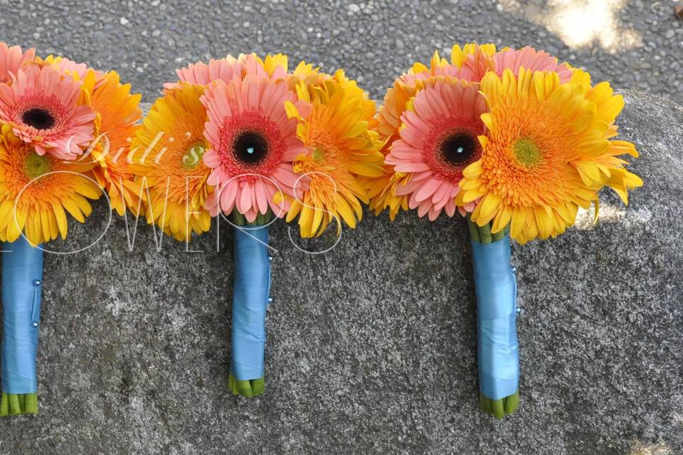 Orange & coral Gerberas