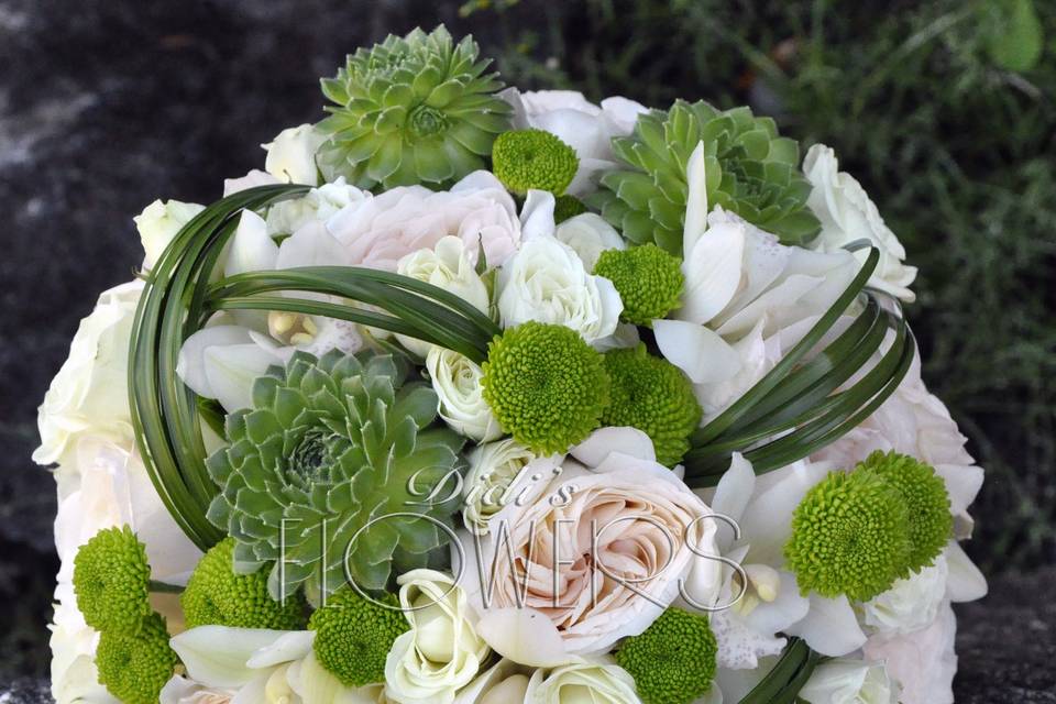 Garden Roses & Succulents