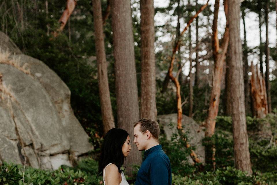 Lighthouse Park Engagement