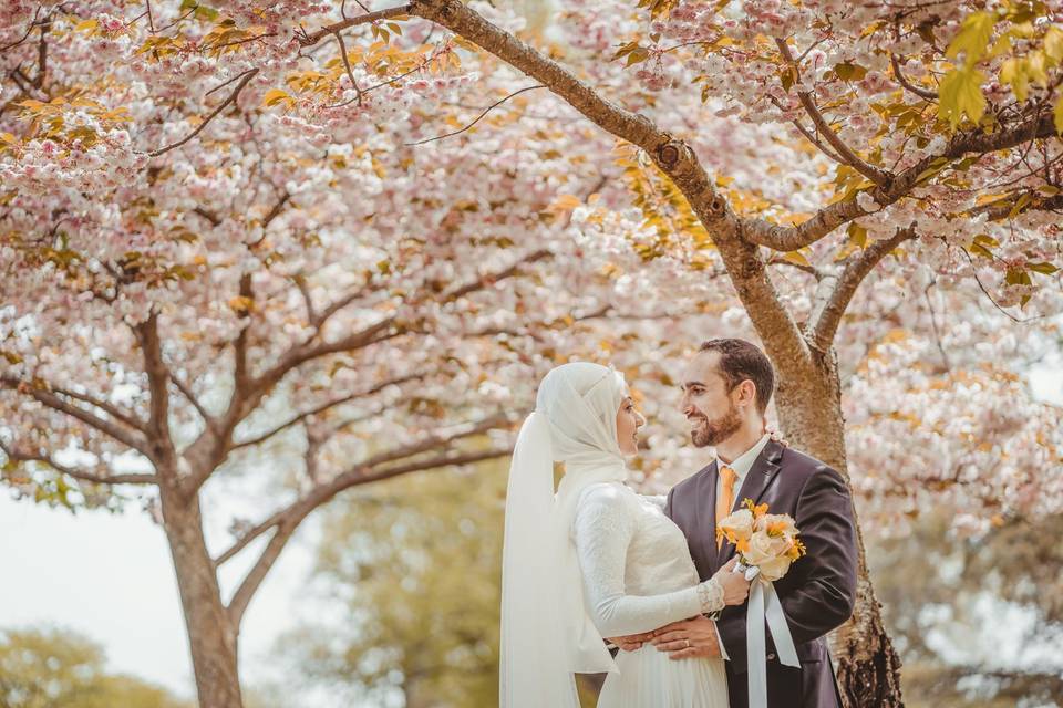 Sara+Mahmoud (Toronto,ON)