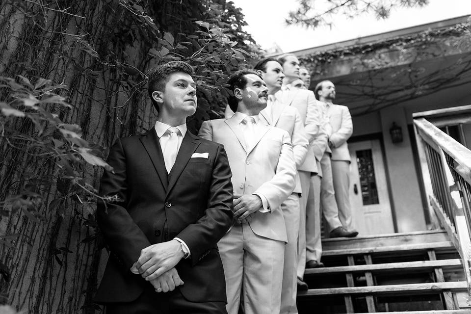 Thistle & Rose Photography