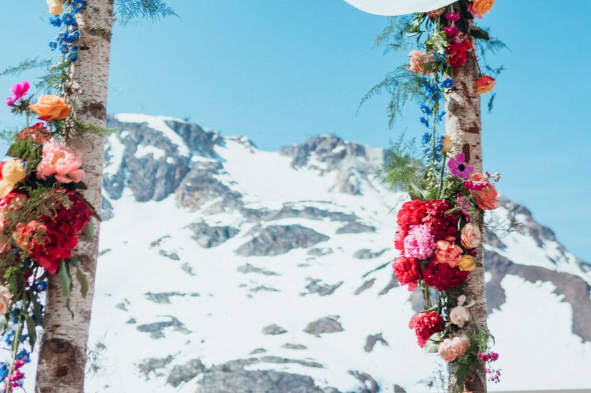 Whistler wedding