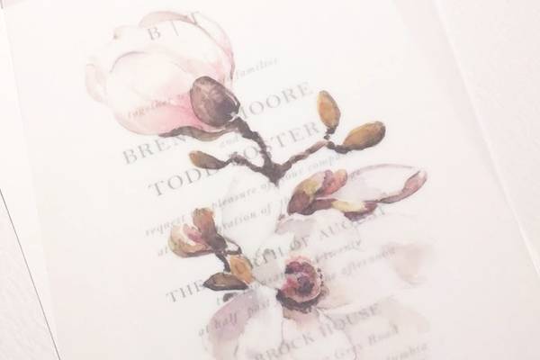 Watercolour vellum overlay