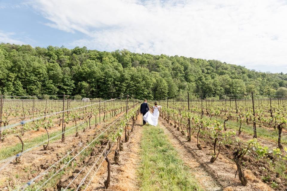 Through the vineyard