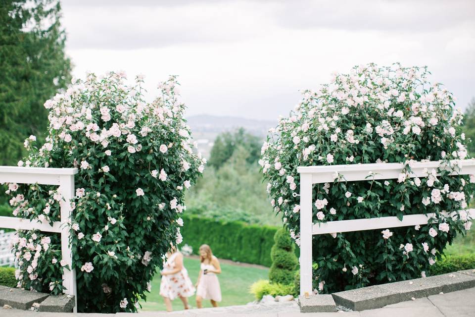 Top of ceremony site