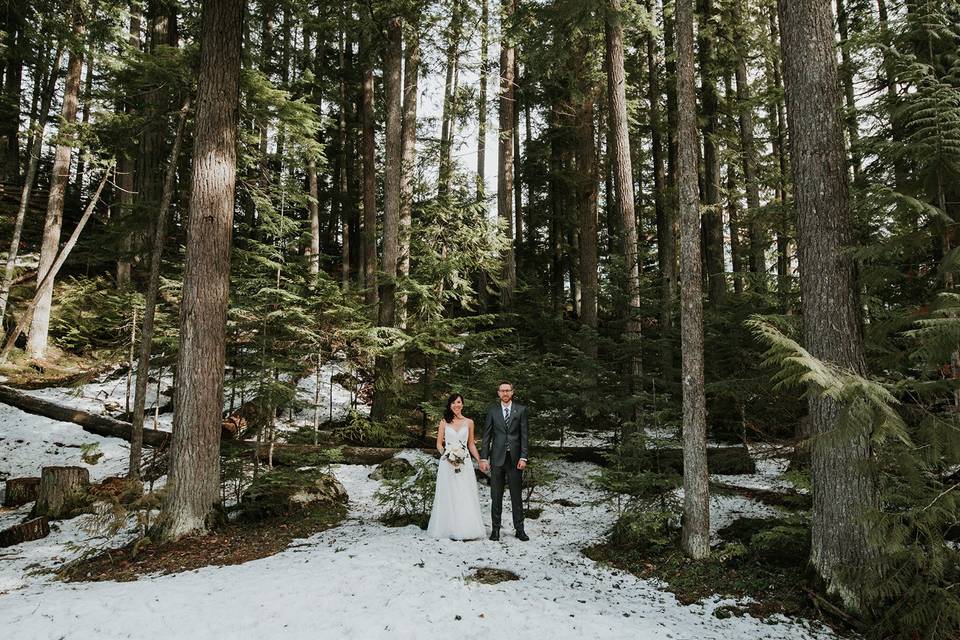 Winter Forest Walk