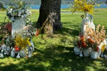 Walnut Tree Ceremony